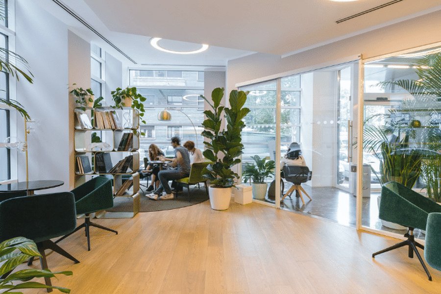 Bright and airy office space filled with plants