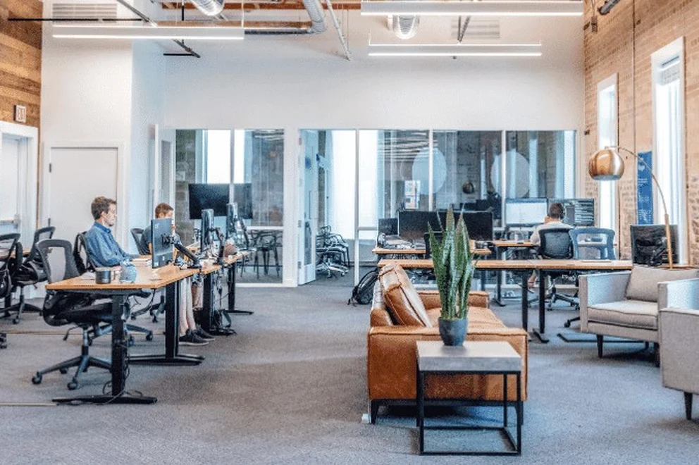 Open office space with several desks, plants and people working