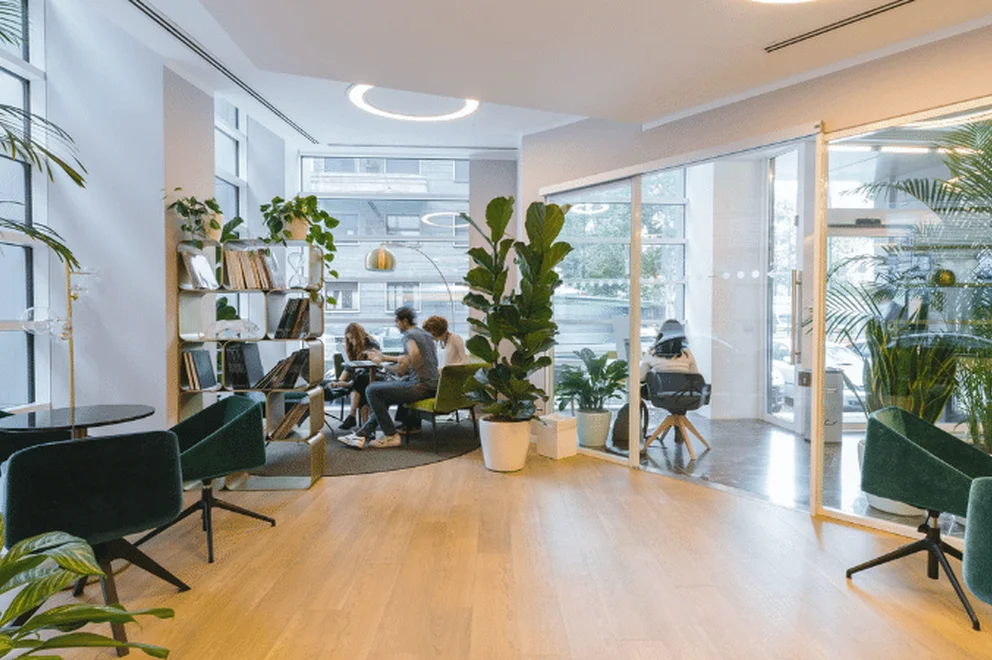 Bright and airy office space filled with plants